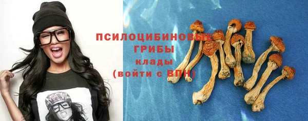 молекула духа Баксан