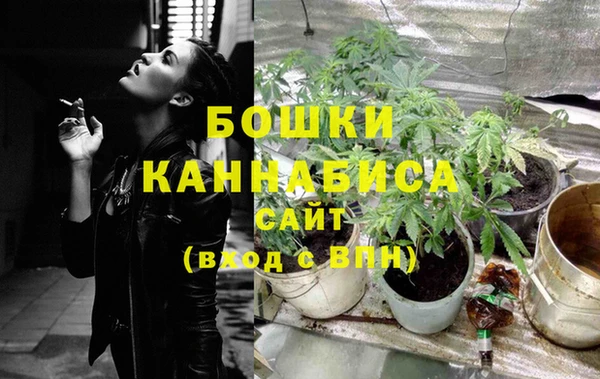 молекула духа Баксан